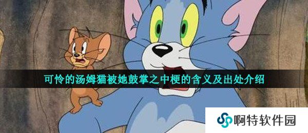 可怜的汤姆猫被她鼓掌之中梗的含义及出处介绍